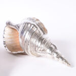 Pair of Silver Plated Large Triton Seashells, Priced Individually