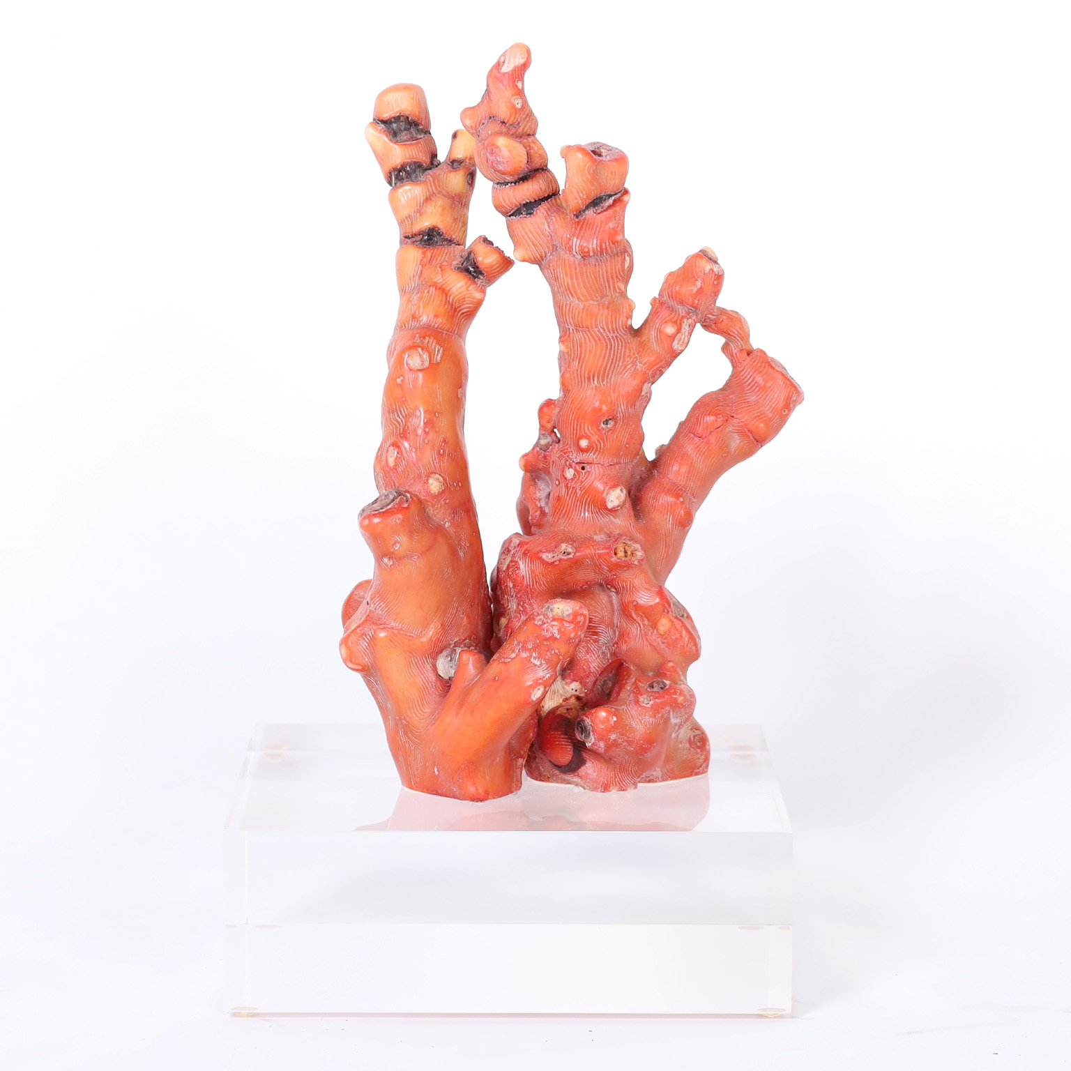 Red Coral Sculpture