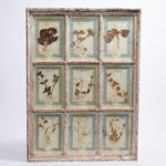 Italian Botanical Antique Collection in a Window Frame