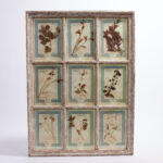 Italian Botanical Antique Collection in a Window Frame