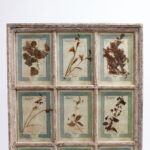 Italian Botanical Antique Collection in a Window Frame