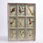 Italian Botanical Antique Collection in a Window Frame