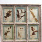 Italian Botanical Antique Collection in a Window Frame