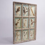 Italian Botanical Antique Collection in a Window Frame