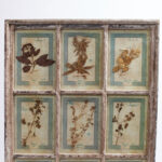 Italian Botanical Antique Collection in a Window Frame