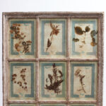 Italian Botanical Antique Collection in a Window Frame