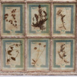 Italian Botanical Antique Collection in a Window Frame