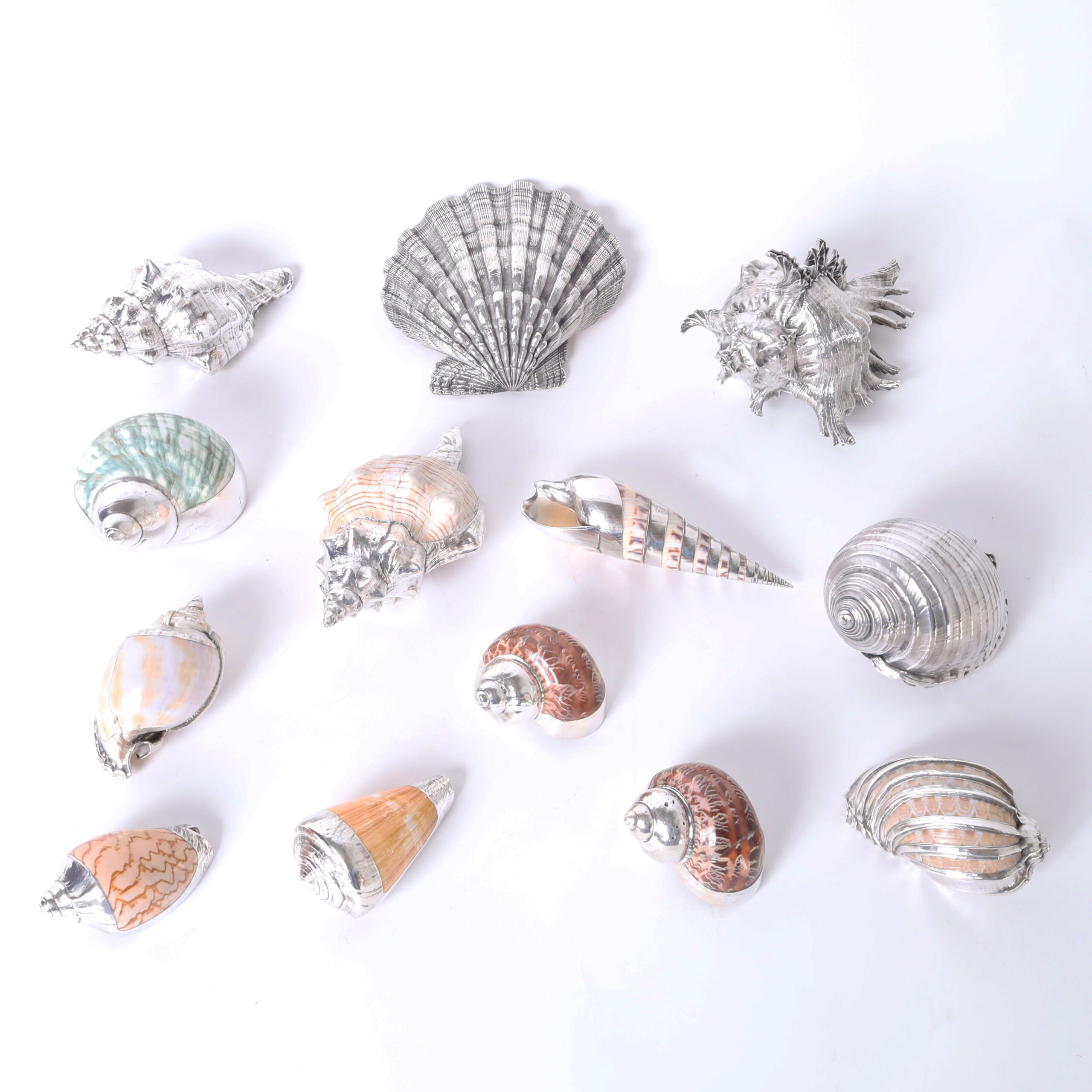 Group of Thirteen Silver Plate Seashells