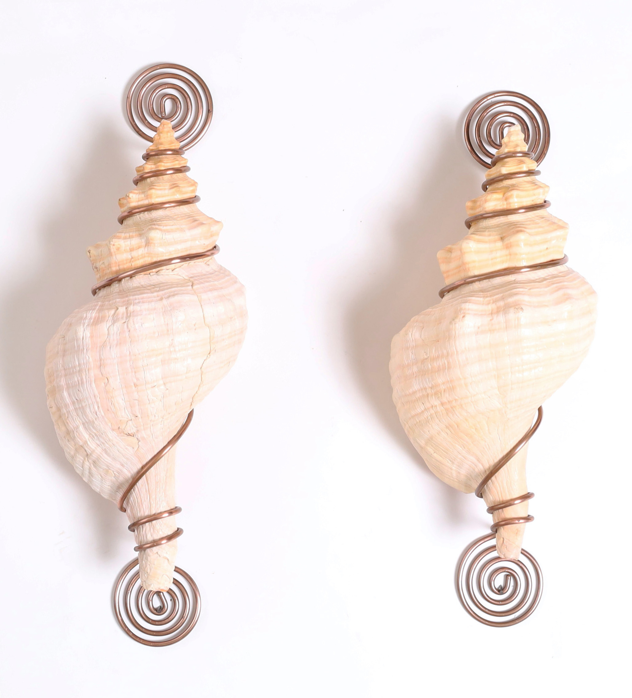 Pair of Conch Shell and Copper Wall Brackets