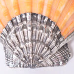 Silver Plated Orange Lion’s Paw Seashell