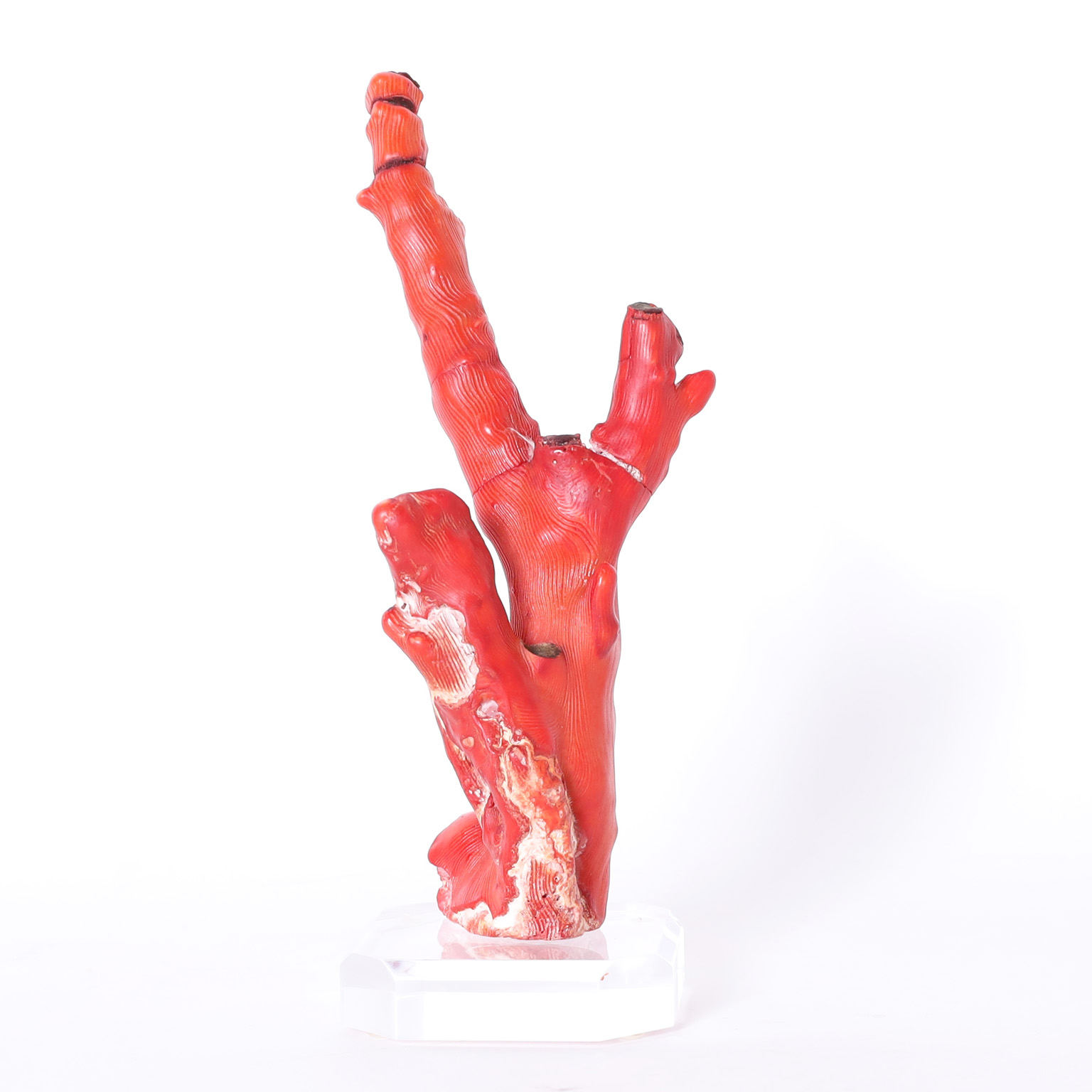 Group of Three Red Coral Specimens on Lucite