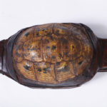 Three Charming Tortoise Shell Bellows