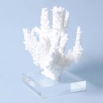 Three White Coral Specimens on Lucite