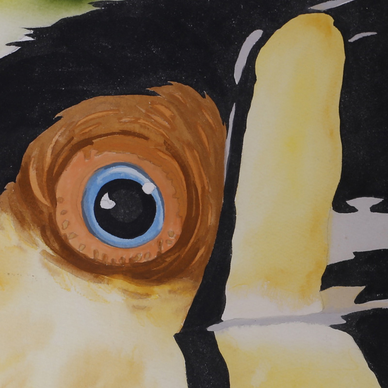 Large Watercolor Painting of a Toucan