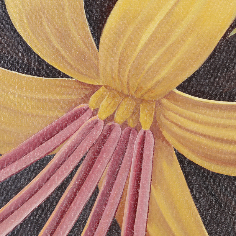 Mid Century Flower Paintings by Dale McFeatters