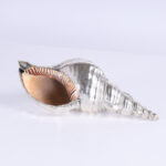 Mastro Argentiere Vintage Italian Silver Plated Seashell