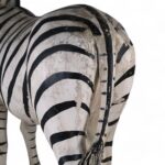 Life Size Vintage Zebra Model or Sculpture