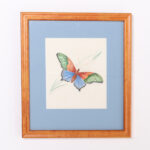 Vintage Set of Six Moth Watercolors