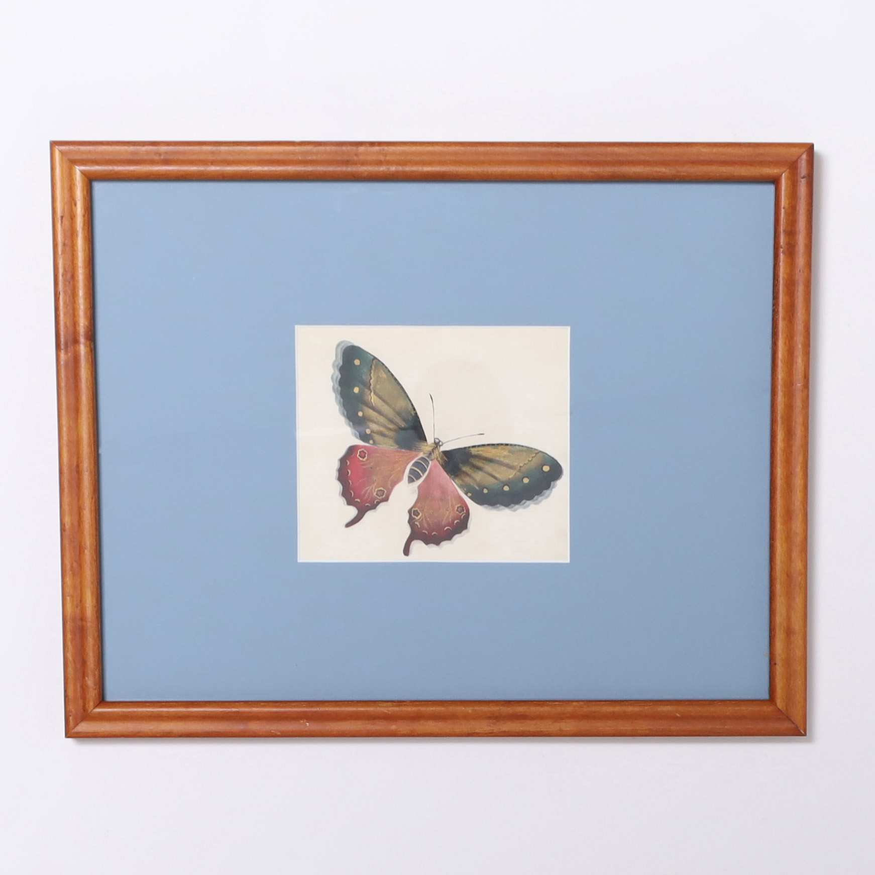 Vintage Set of Six Moth Watercolors