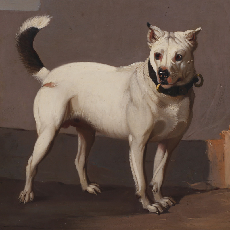 Oil Painting on Board of a Dog by William Melbon